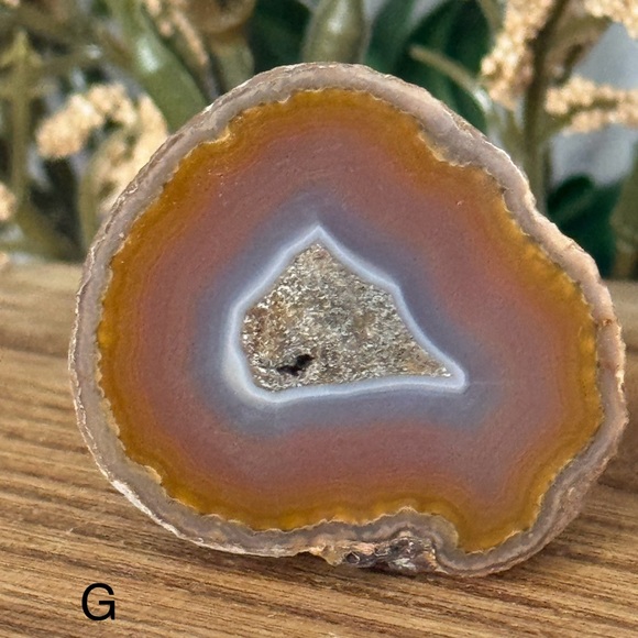 Coyamita Agate from Chihuahua Mexico - Picture 5 of 6